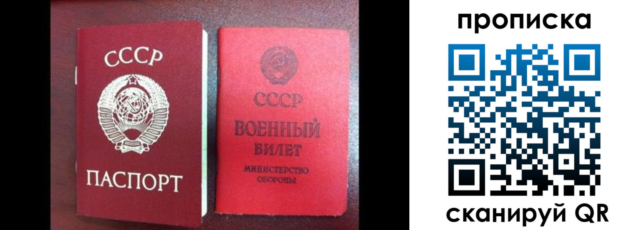 временная регистрация поиск в Челябинской области